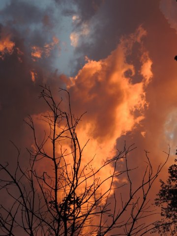 182_Tramonto di fuoco_Tema Libero